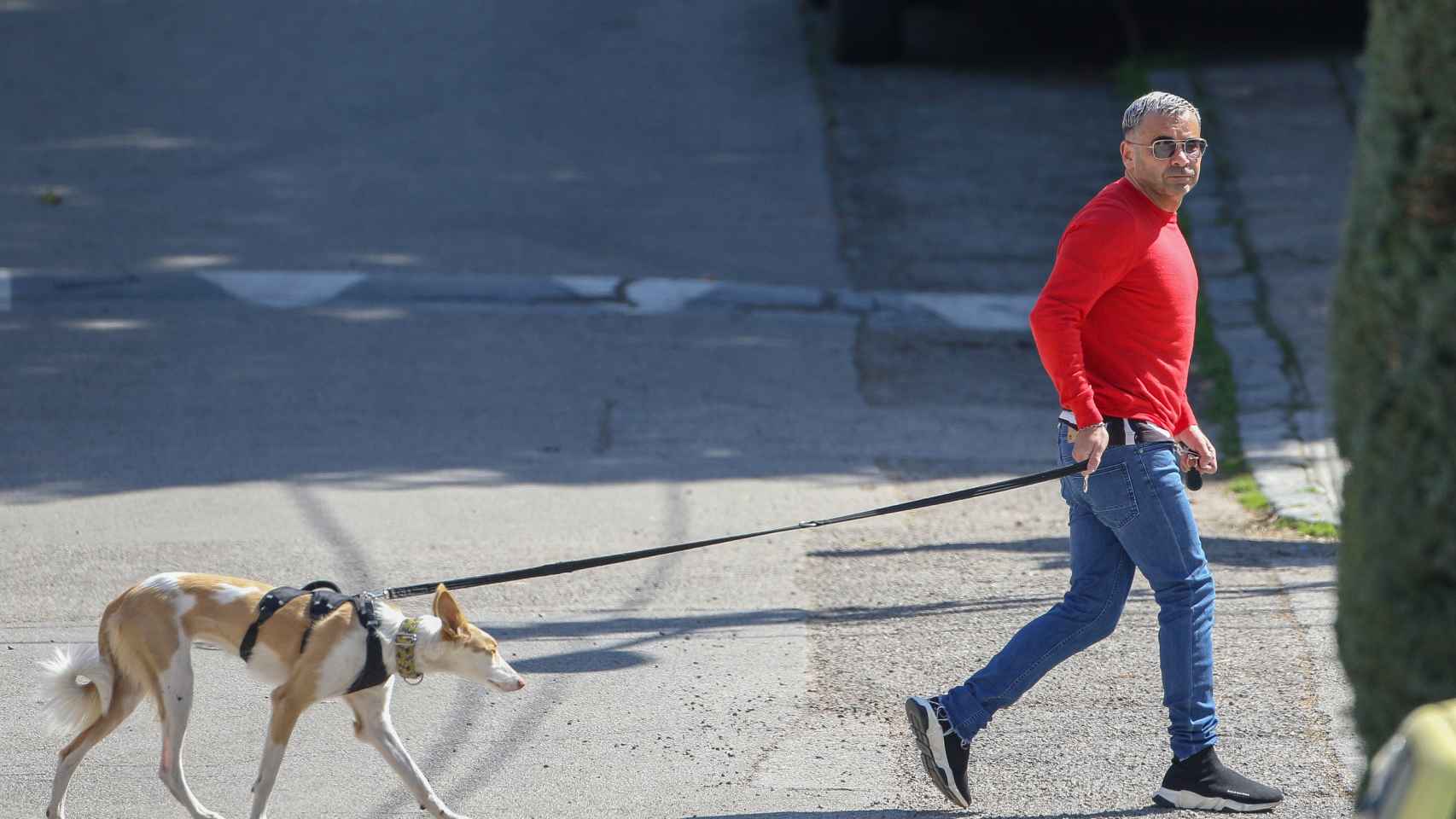 El catalán sacando a pasear a sus perros por los alrededores de su casa.