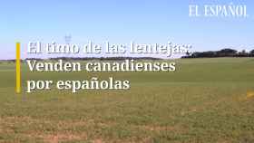 El timo de las lentejas: Venden canadienses por españolas