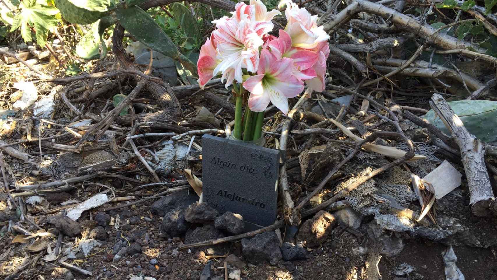 María del Mar ha puesto una placa en memoria de su hijo en el lugar en el que hallaron su coche