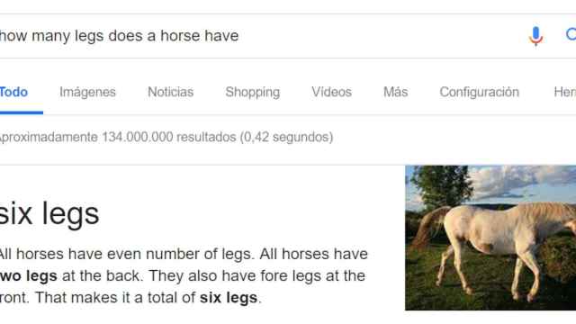 google caballo patas 1