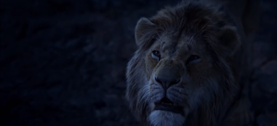 el rey leon 4