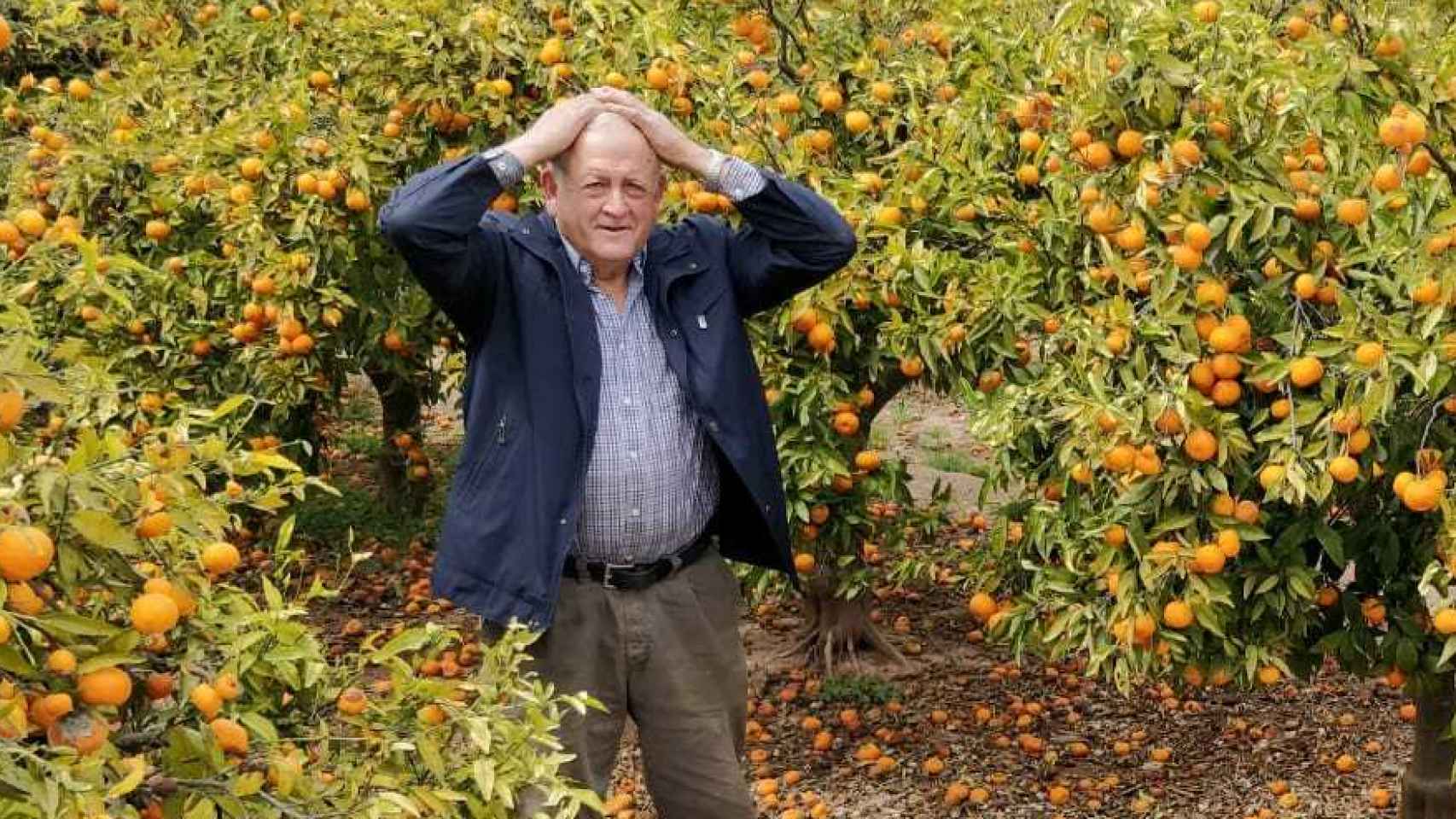 En la imagen, Paco Sorolla, un agricultor de Castellón afectado por la crisis de las naranjas