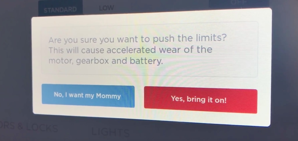 Mommy Tesla