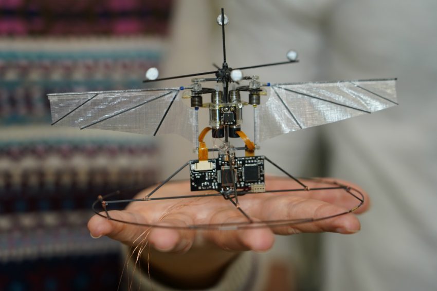 robot colibri 1