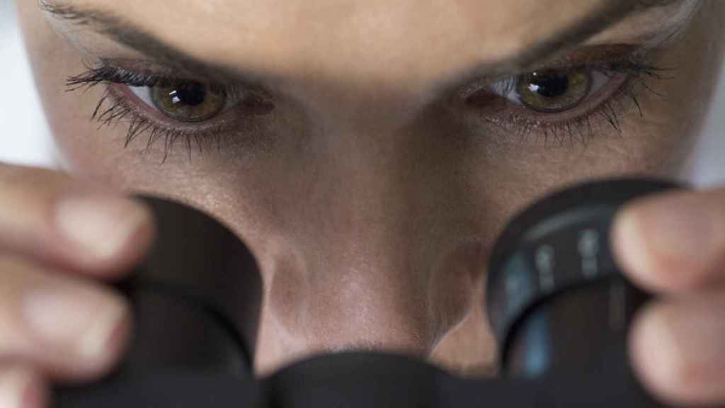 Una investigadora observa en un microscopio.