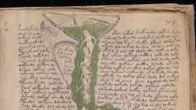 manuscrito voynich 1