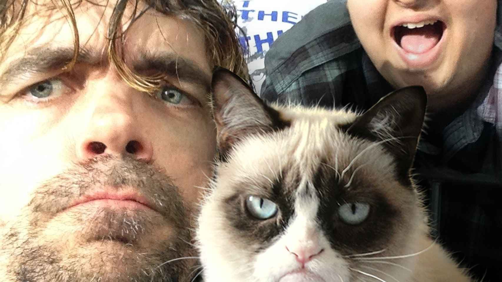 Grumpy Cat con Peter Dinklage (Tyrion Lannister)