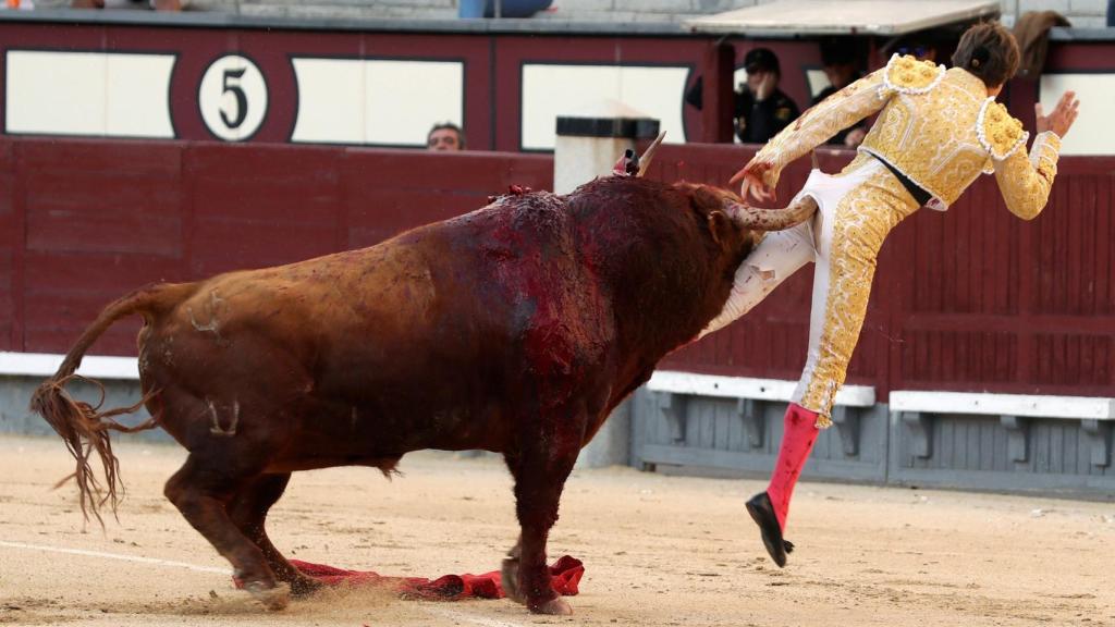 Cornada a Juan Leal de 25 centímetros en la región perianal.