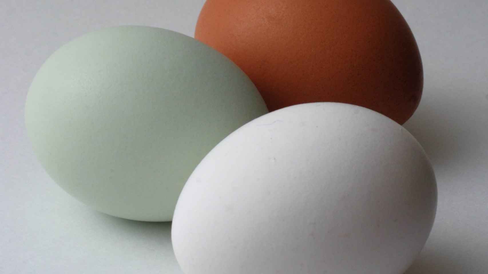 El misterio de los huevos azules: éstas son sus ventajas y desventajas