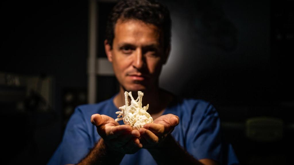Israel Valverde, jefe de Cardiología Infantil del Hospital Virgen del Rocío de Sevilla.
