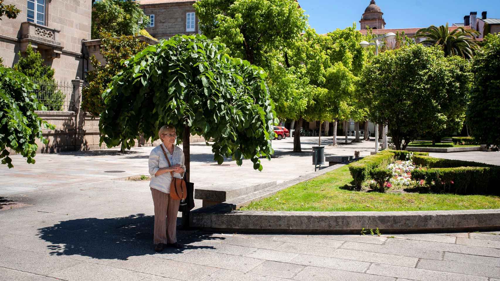 Una mujer se protege de las altas temperaturas en la sombra de un árbol en el centro de Ourense. EFE/Brais Lorenzo