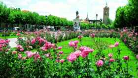 Plaza de Cervantes en primavera.