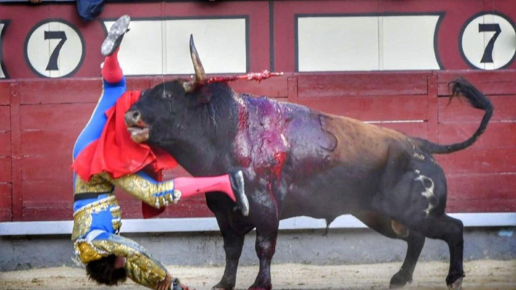 Cornada sufre una grave cornada justo al entrar a matar