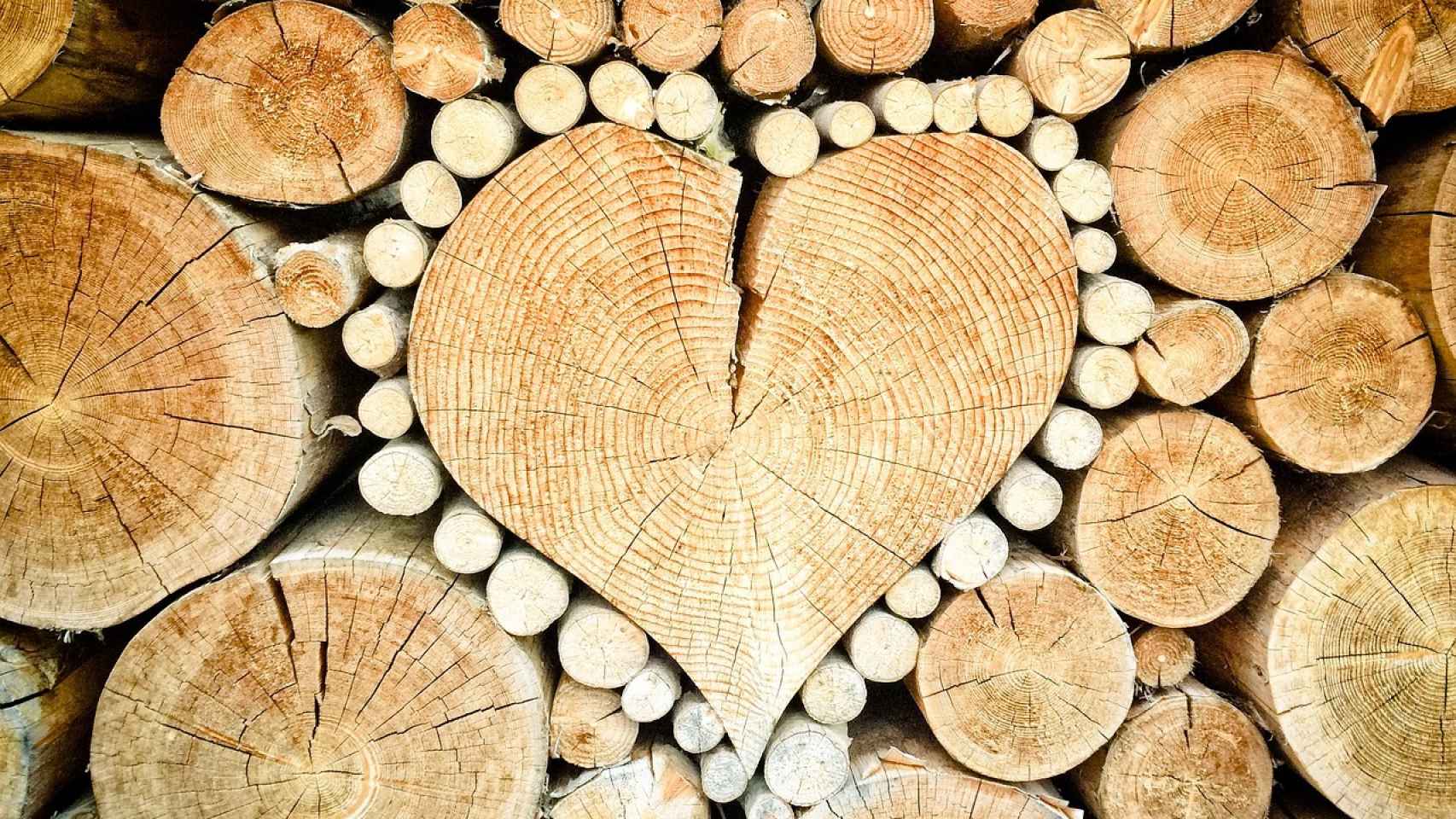 Consejos para iniciarse en la talla  Gubias para tallar madera, Tallar  madera dremel, Como tallar madera