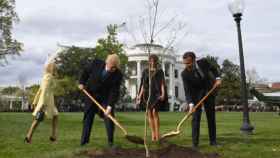 Trump y Macron plantando el árbol.