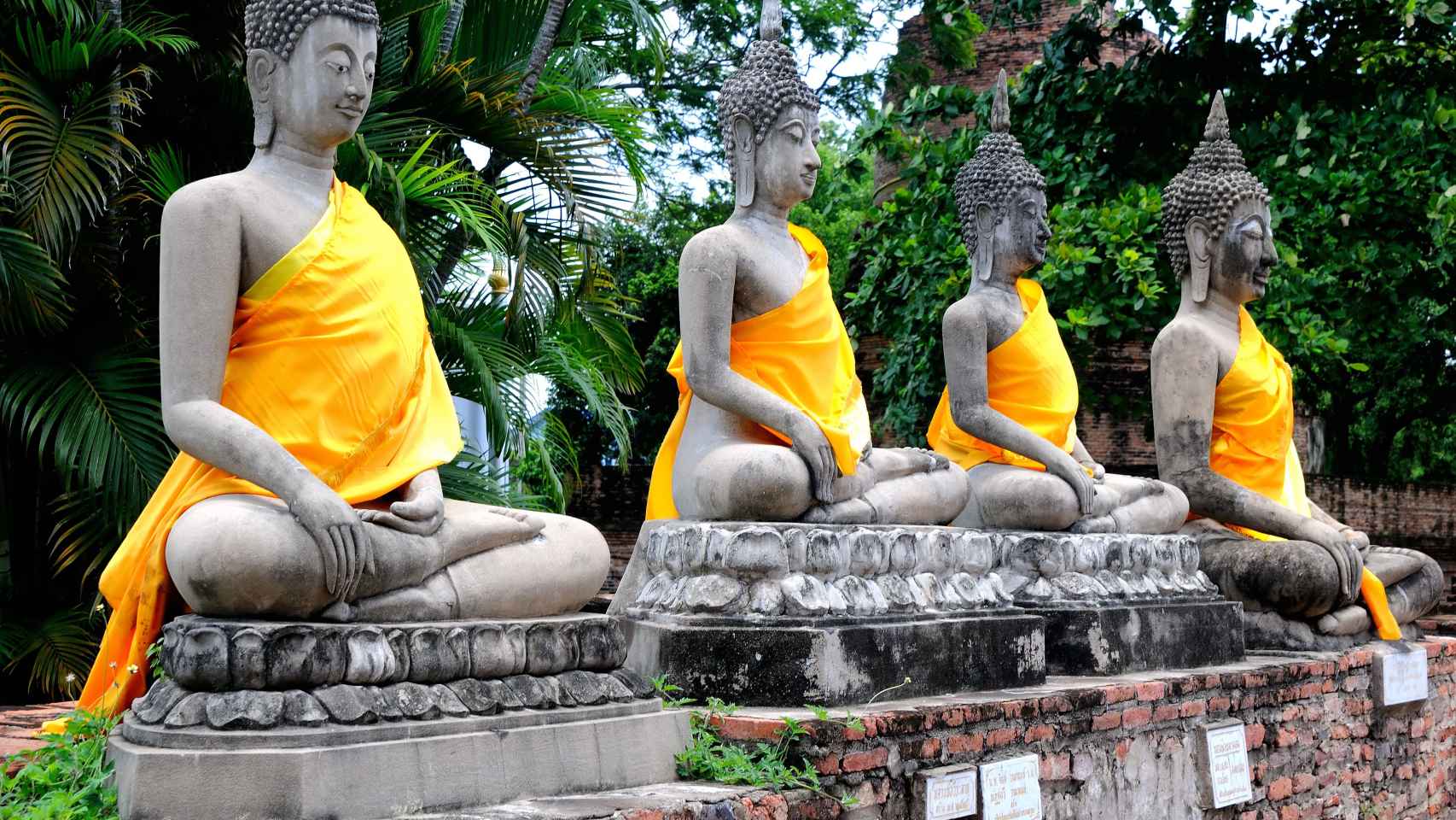 Estatutas de Buda en el templo de Ayutthaya.