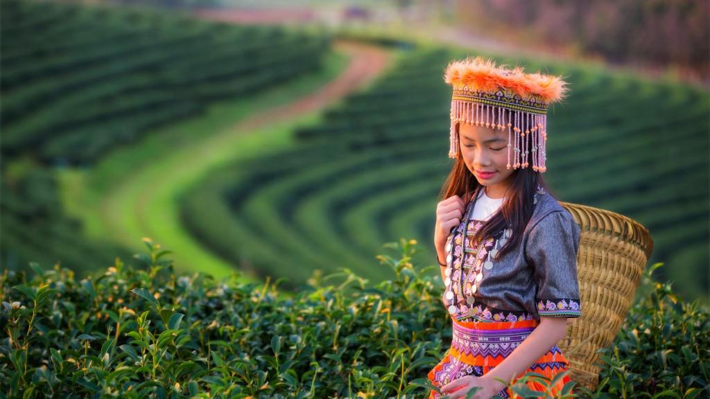 Chiang Rai.