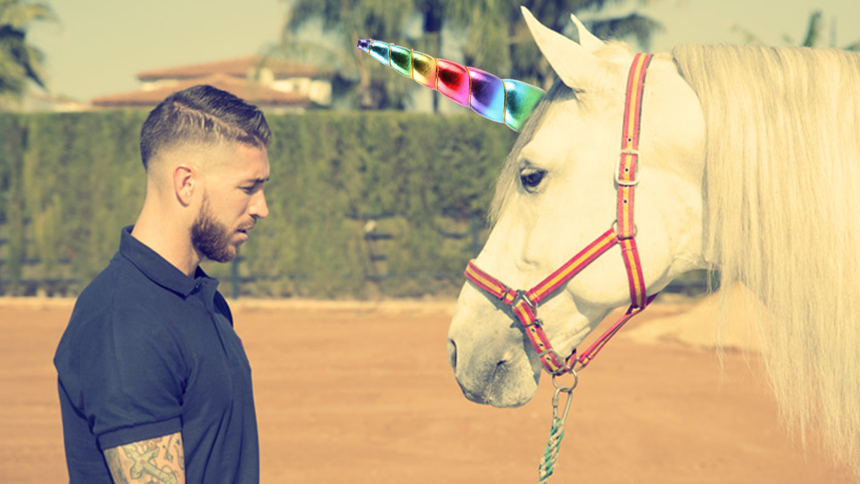 Montaje de Sergio Ramos y uno de sus caballos con un cuerno de unicornio.