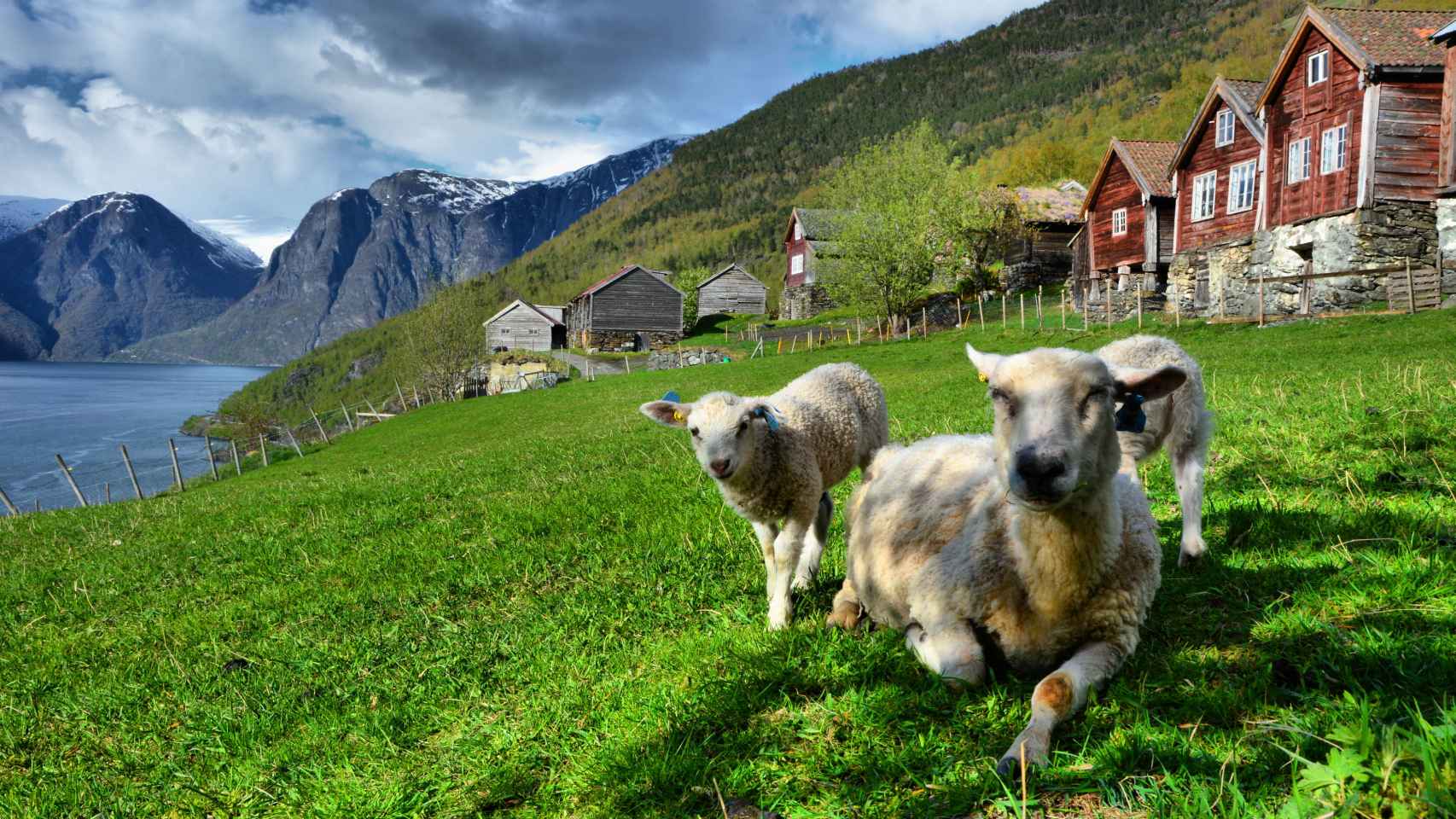 Noruega, destino sostenible