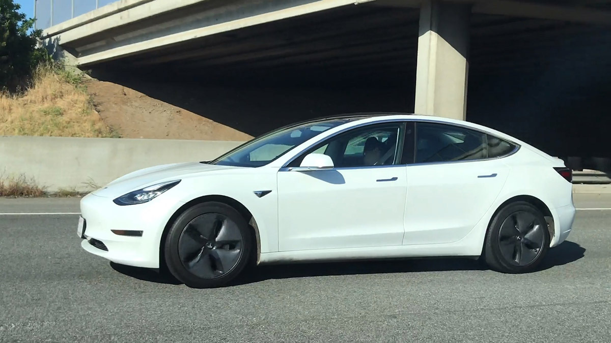 Tesla durmiendo 2