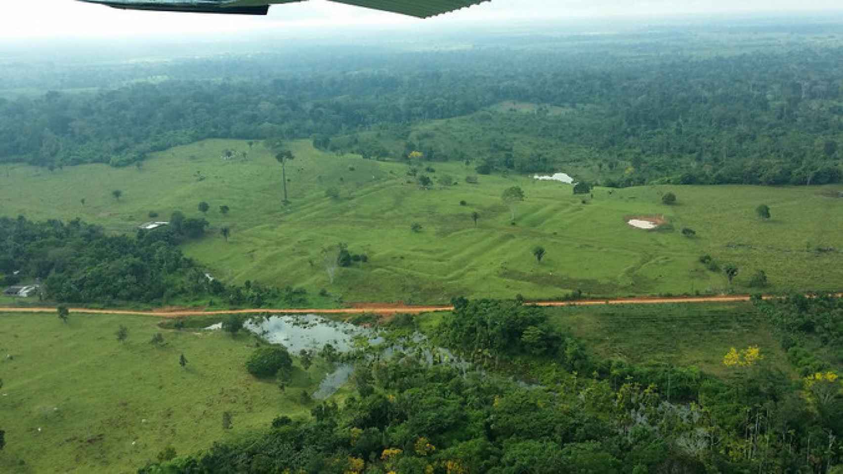 Lugar de la Amazonia con geoglifos en el terreno.