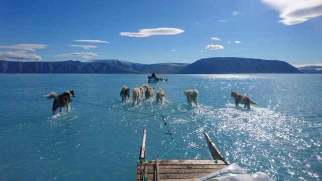 Espectacular imagen de unos perros tirando de un trineo sobre el agua en Groenlandia.