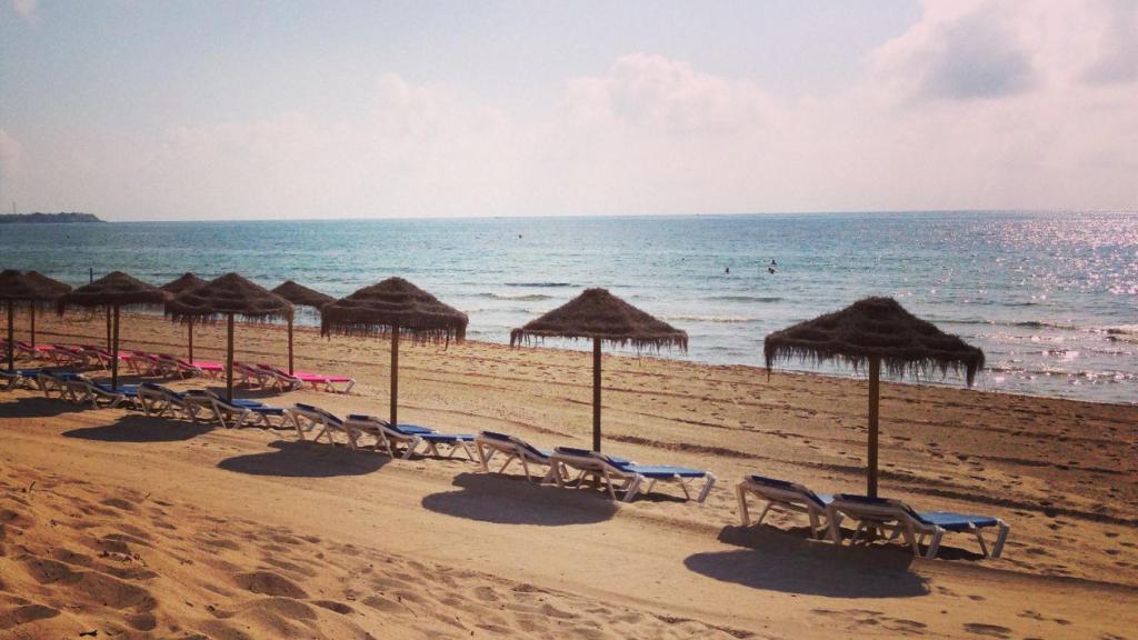 Playa Mil Palmeras