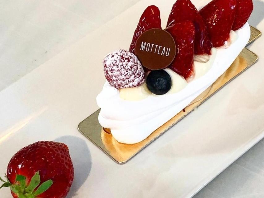 Foto: Motteau