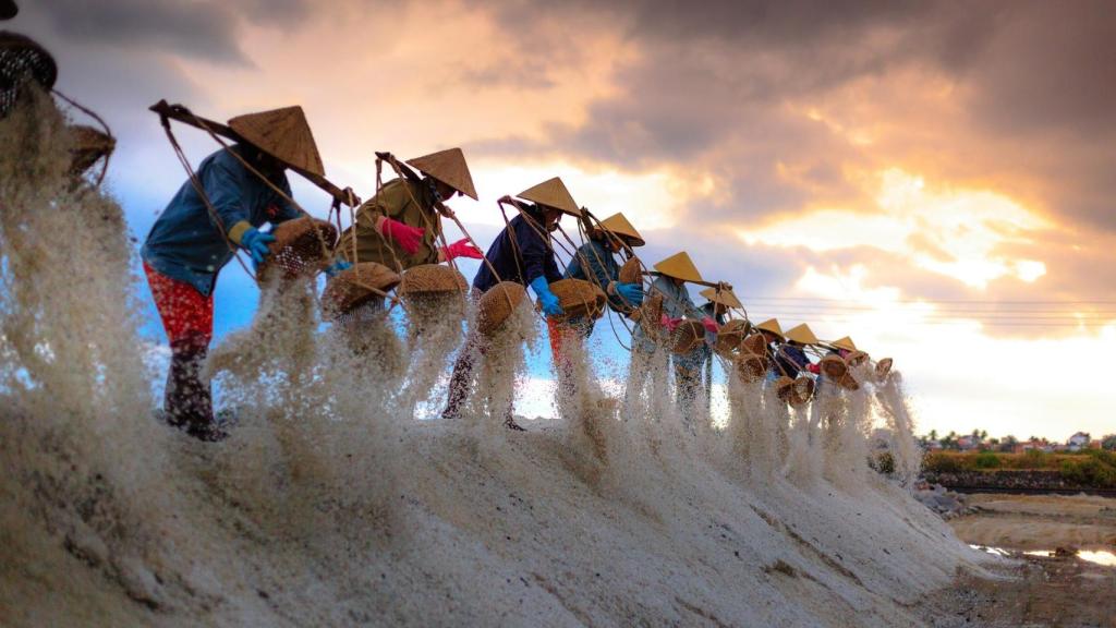 Trabajadores en campos de cultivo de Vietnam.
