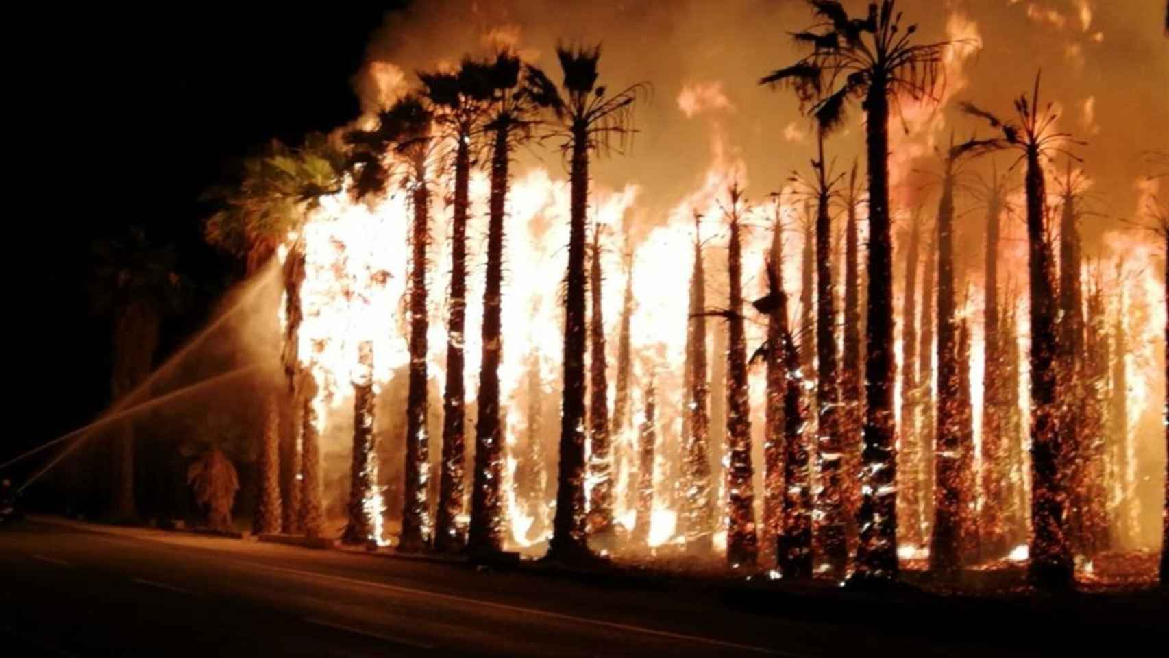 Los huertos de palmeras de Elche, ardiendo de madrugada.