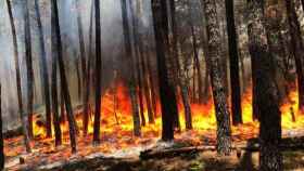 El incendio de Gavilanes en el Valle del Tiétar está alcanzando grandes proporciones