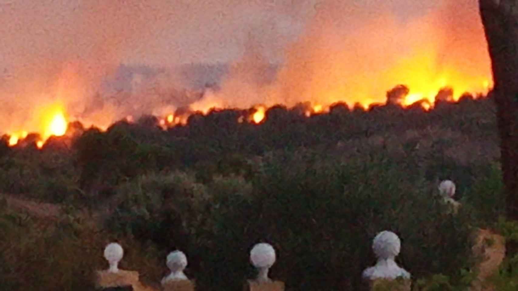 Incendio en el municipio de Almorox (Toledo).