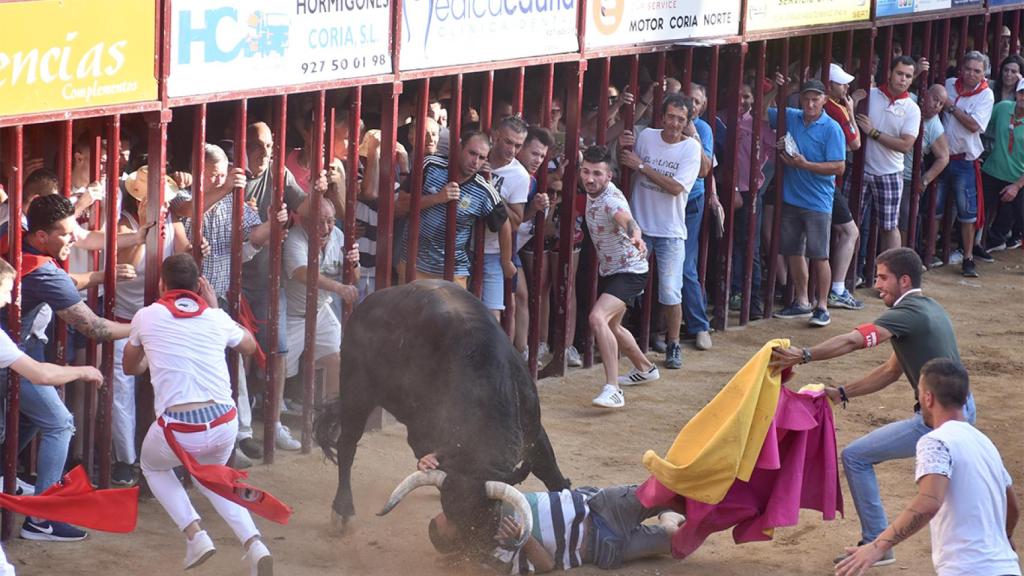 El toro Judío corneó a un hombre en la plaza
