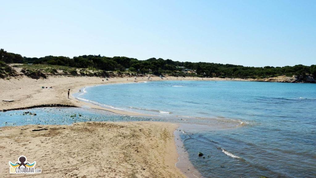 La playa Rec del Molí (Gerona) es una de las 10 peores de España, según EL ESPAÑOL