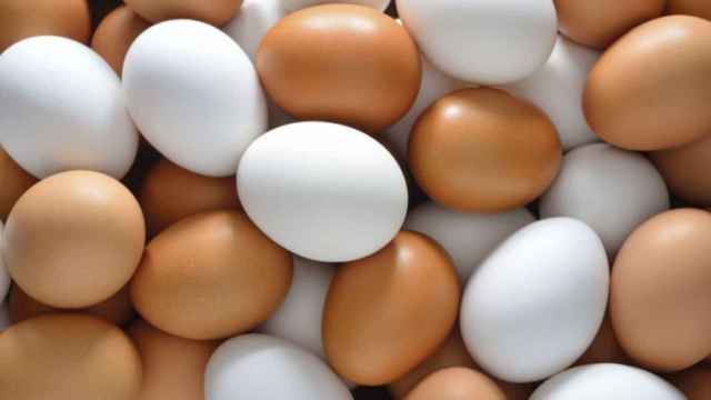 Un montón de huevos marrones y blancos.