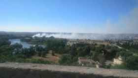 Incendio forestal en las inmediaciones del campus de la Fábrica de Armas.