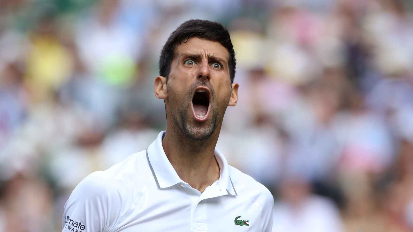 Djokovic, durante el partido ante Bautista en Wimbledon.