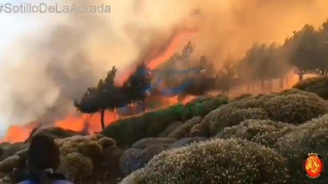 El incendio declarado este sábado en Sotillo de la Adrada.