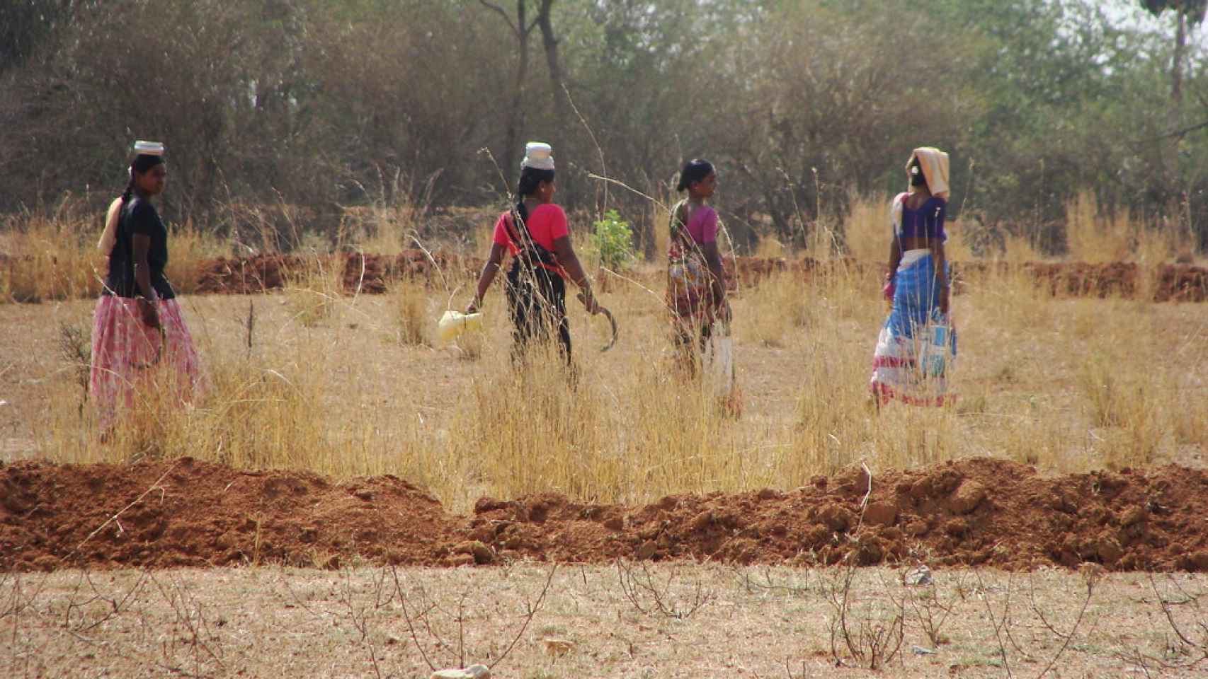 Mujeres indias transportando agua.