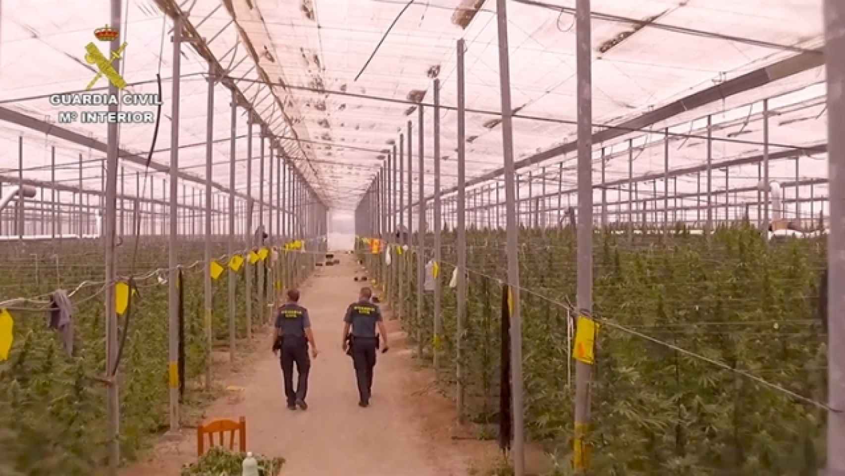 Invernadero que los lituanos supuestamente alquilaron en Níjar a un agricultor en 2017 para empezar a desarrollar sus centros de producción de marihuana.