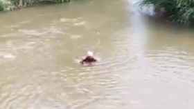Muere ahogado un hombre en el río Henares a la altura de Alcalá (Madrid)