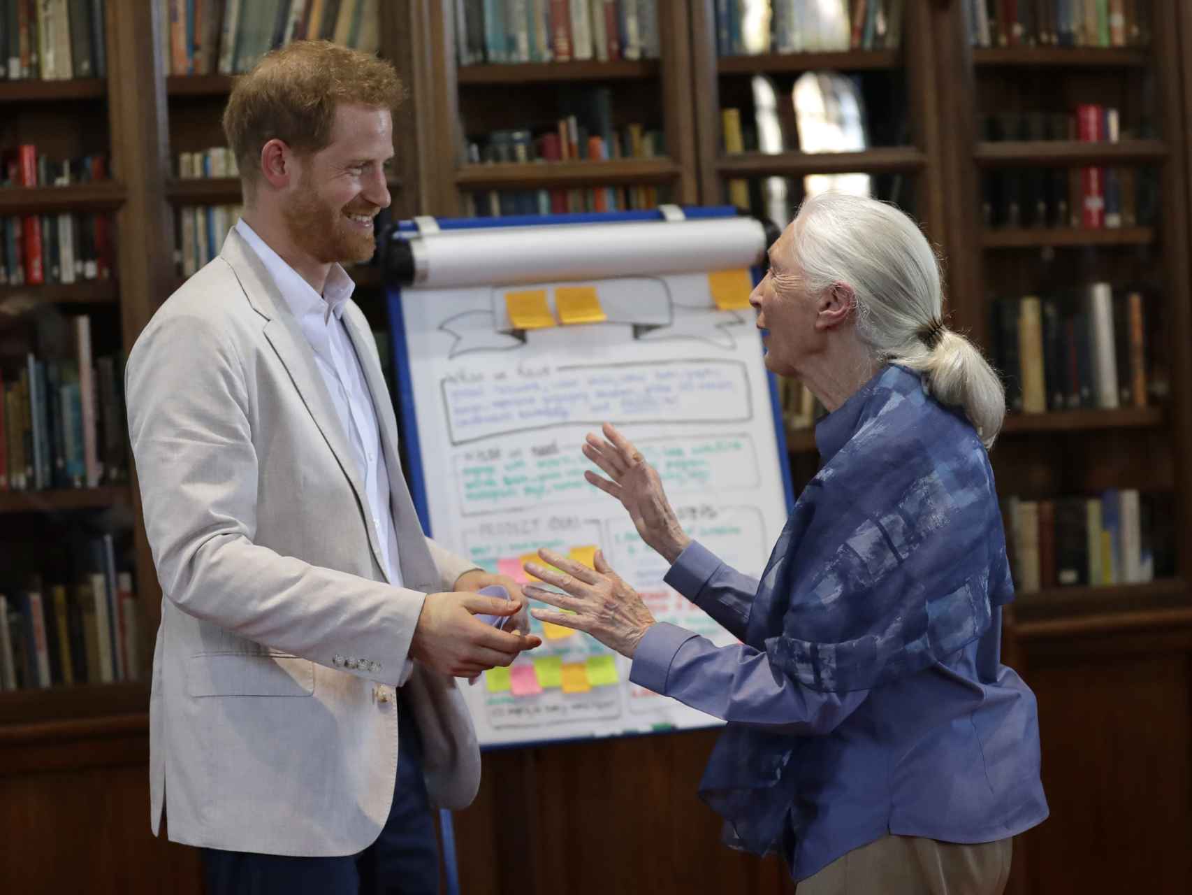 El príncipe Enrique y Jane Goodall mostraron una gran sintonía en su encuentro.