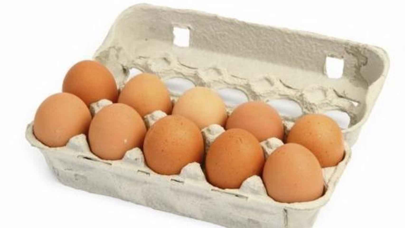 Una docena de huevos como los que podemos encontrar en el supermercado.