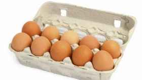 Una docena de huevos como los que podemos encontrar en el supermercado.