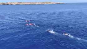 Varios migrantes del Open Arms se lanzan al agua.