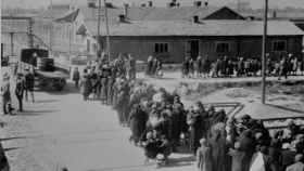 Un grupo de reclusos, camino de las cámaras de gas de Auschwitz.