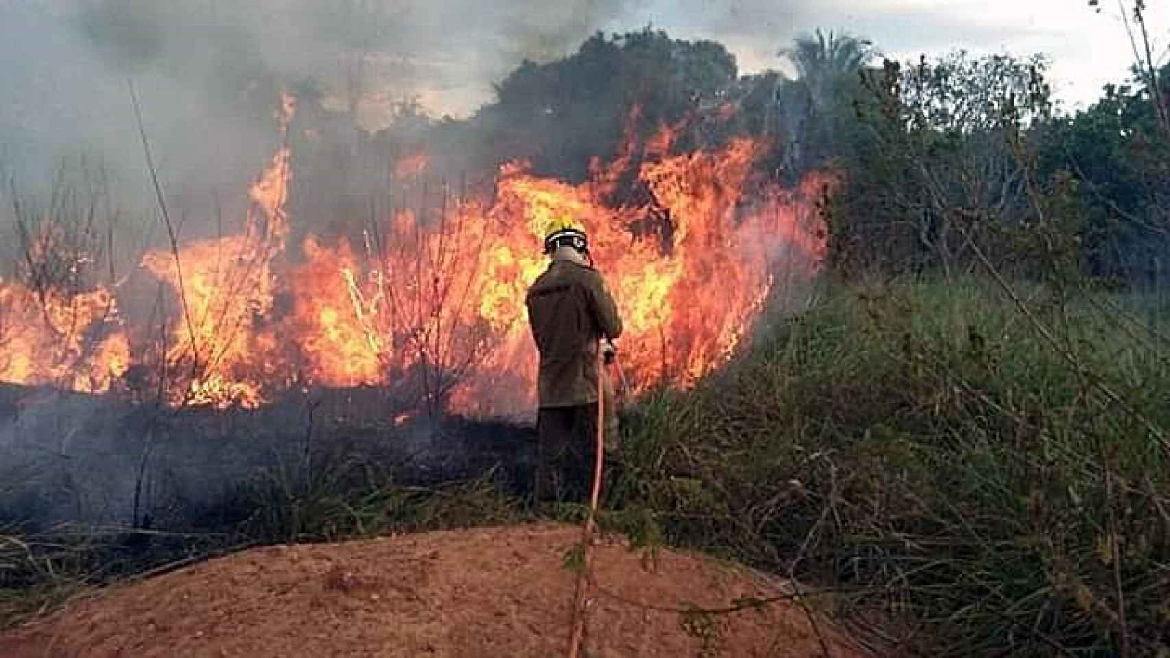 Fotografía cedida por los Bomberos del estado de Acre que muestra a miembros de los bomberos mientras combaten un incendio este sábado.