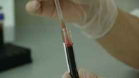 Un investigador maneja una prueba de sangre en el laboratorio.