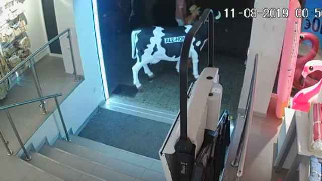 Fotograma de la cámara de seguridad en el que se ve a la 'vaca' abandonando la tienda.
