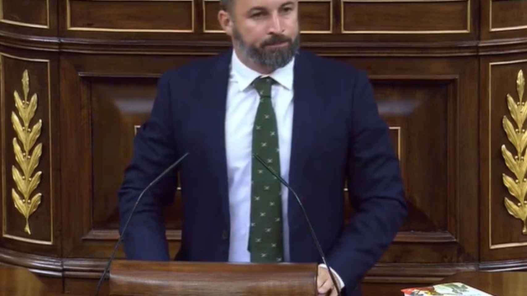 Santiago Abascal, en su intervención en el Congreso de los Diputados.